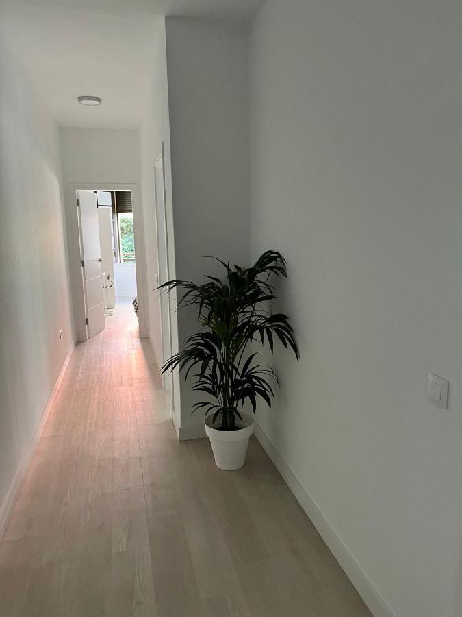 Tantulia Callao 57 Aptartamento 5Hab Centro De La Capital En Tenerife Santa Cruz de Tenerife Zewnętrze zdjęcie