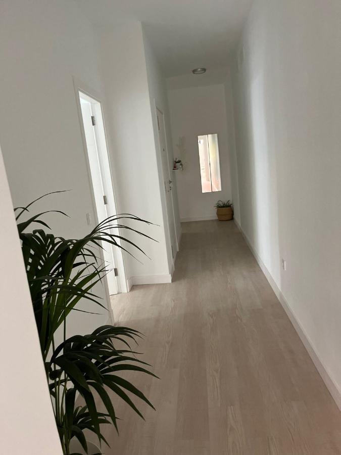 Tantulia Callao 57 Aptartamento 5Hab Centro De La Capital En Tenerife Santa Cruz de Tenerife Zewnętrze zdjęcie